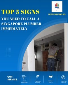Emergency Plumbing