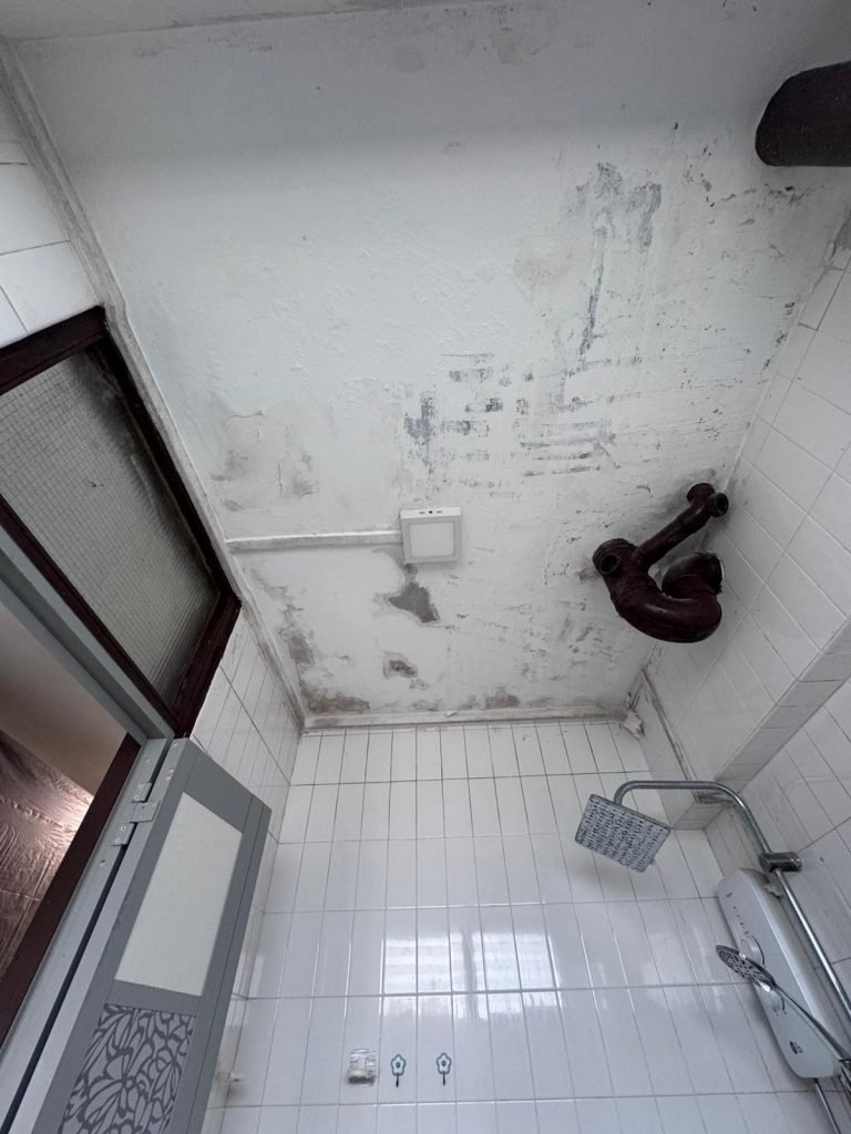 Best painting sg . Painting Services in Singapore