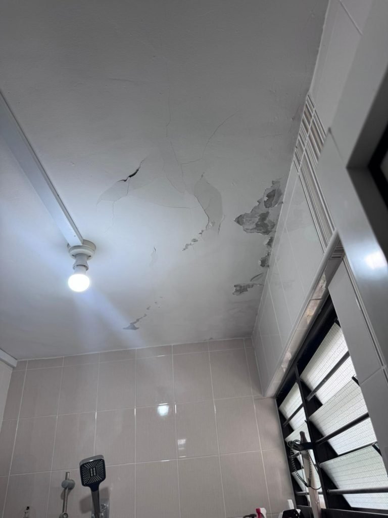 Best painting sg . befour painting service