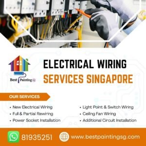 Hire a Professional Electrician in Singapore