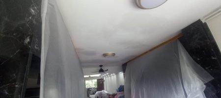 Best Painting SG HOUSE PAINTERS